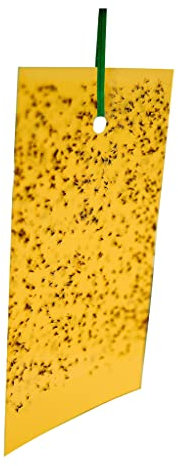 Yellow Sticky Traps Greenhouse Whitefly Fly Traps with Hanger - Various Pack (5)