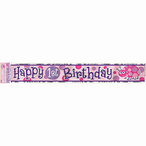 Marienkäfer Geschirr zum 1. Geburtstag Banner 12' mehrfarbig
