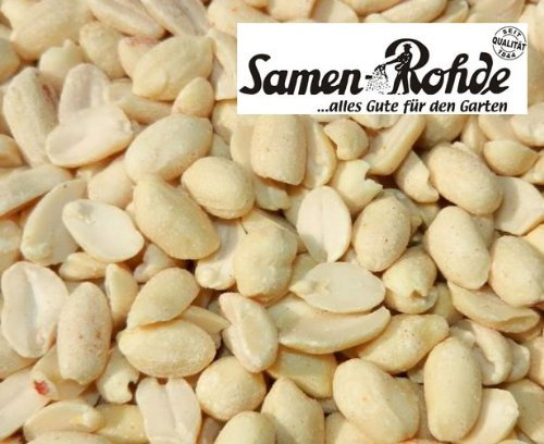Erdnussbruch 2,5 kg im Sack, Samen Rohde Premium Qualität, 2.500g Gebinde, Vogelfutter