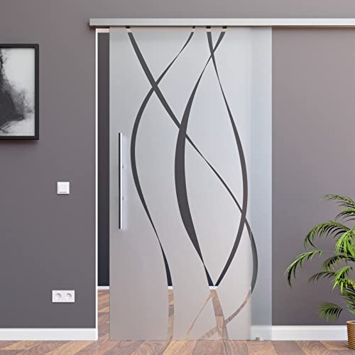 BM6-900-600-ASE: Schiebetürsystem ESG 900x2050x8mm Dekor M6, Siebdruck; Schienensystem ALU SlimLine SoftClose; Griffstange rund 600