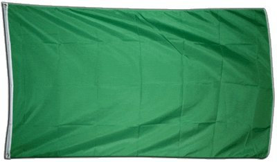Flaggenfritze XXL Flagge Fahne Einfarbig Grün 150 x 250 cm