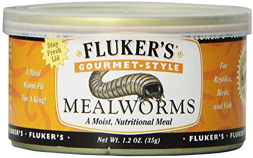 Fluker's Gourmet Mealworms, Canned Food for Reptiles, Fish, Birds and Small Animals, 1.23 oz