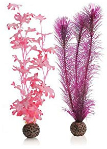 Reef One Biorb Medium Pink Kelp Plants for Aquariums