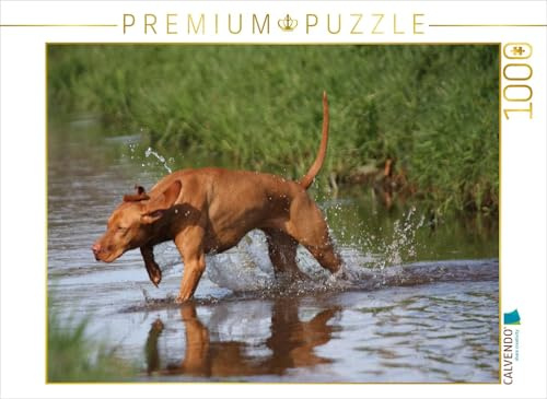 CALVENDO Puzzle Jagdfieber | 1000 Teile Lege-Größe 64 x 48 cm Foto-Puzzle für glückliche Stunden