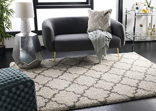 SAFAVIEH Hudson Shag Accent Rug 3x5, Plush Trellis Ivory & Grey SGH282A