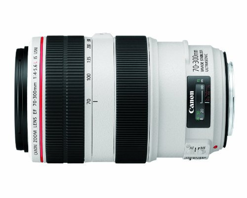 Canon EF 70-300mm f/4-5.6 IS USM - Objetivo (SLR, 19/14, telephoto, 89 mm, 67 mm, 143 mm)