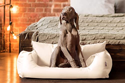 tierlando® NEMO Hundebett aus robustem Oxford 600D, Hundesofa mit herausnehmbarer Komfort-Matratze und waschbarem Bezug, für kleine & mittelgroße Hunde Größe: 65x50cm | Farbe: 05 Creme