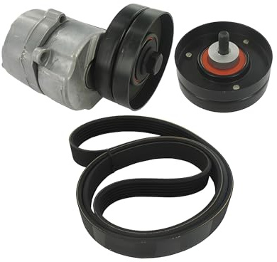 SKF Keilrippenriemen VKMA 36124 - Satz - Höhe 110 mm Länge 250 mm Breite 185 mm - OE Qualität