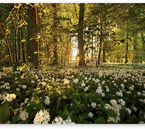 Wallpaper - Wall Mural Forest 350x256 cm / 137.8 x 96.5 - Non-Woven Premium Art Print Fleece Wall Mural Decoration Poster Picture Design Modern - Grass White Flowers Nature Sun Trees c-B-0031-a-a