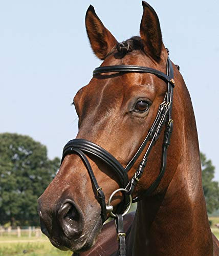 Hans Melzer Horse Equipment Trense Bad Harzburg, schwarz/messing, Vollblut