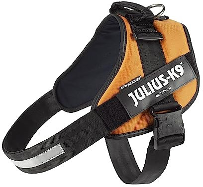Julius-K9, IDC Powergeschirr, Größe: 3XL / 4, Kupferorange