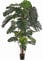 kunstpflanzen-discount.com Große künstliche Monstera deliciosa Köstliches Fensterblatt ca. 190cm hoch mit Echtholzstamm und echtem Palmfasermaterial sowie 64 Blättern im Topf