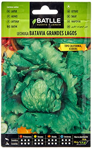 Semillas Batlle Lechuga GRANDES LAGOS