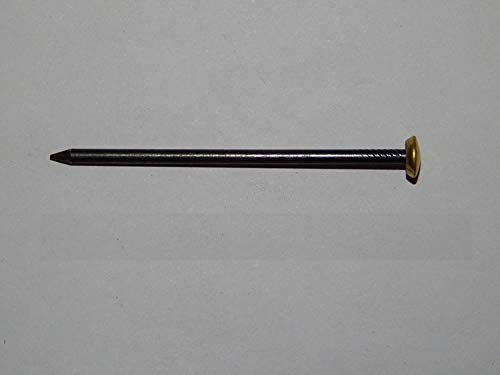 30 pezzi in acciaio di immagine Chiodi 2,5 X 50 mm, con testa rivestito con ottone, Materiale: ferro gehaertet, geblaeut, chiodo in acciaio