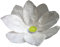 10 Stück Wasserlaterne Lotusblüte Seerose Schwimmlaterne Schwimmkerzen Outdoor Laterne mit Teelichter Kerzen Windlicht Weiß