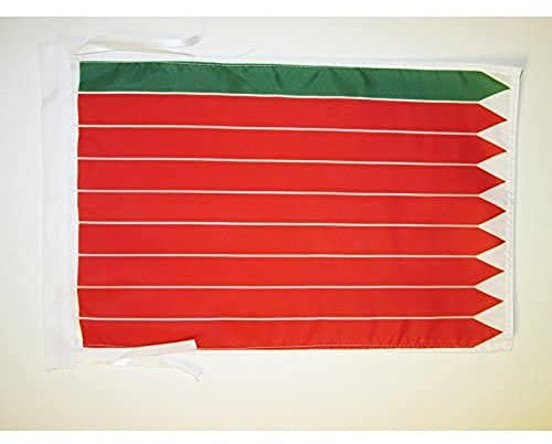 BANDERA de la PROVINCIA DE ZAMORA 45x30cm - BANDERINA ZAMORA EN CASTILLA Y LEÓN 30 x 45 cm cordeles - AZ FLAG