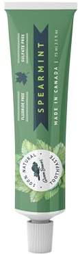 Green Beaver Spearmint Toothpaste, 75 ML