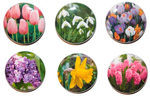 SIX Mini 'Spring Flower' Fridge Magnet Set (25mm) Made in UK by Button Zombie