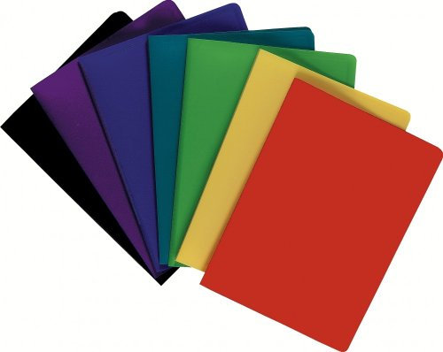 Exacompta 8540E Sichtmappe OPAK aus blickdichtem Kunststoff DIN A4 mit 40 Klarsichthüllen, 80 Sichten, perfekt für die Schule und das Büro Aktenhülle, Prospekthülle, 1 Stück Zufallsfarbe