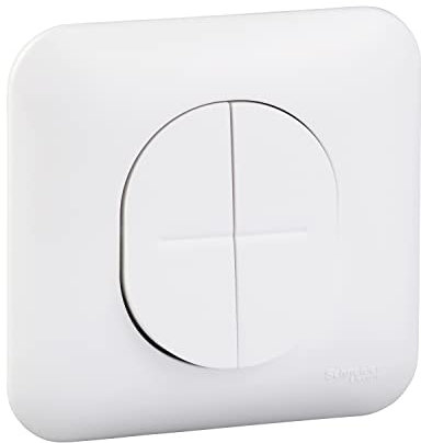 Schneider Electric S260214 Ovalis - double va-et-vient - 10AX - Blanc RAL9003 - fixation par vis