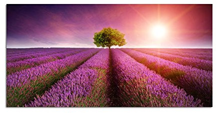 Augenblicke Wandbilder 120x60cm - Fotodruck auf Leinwand und Rahmen Lavendelfeld Sonnenuntergang Landschaft - Leinwandbild auf Keilrahmen modern stilvoll - Bilder und Dekoration