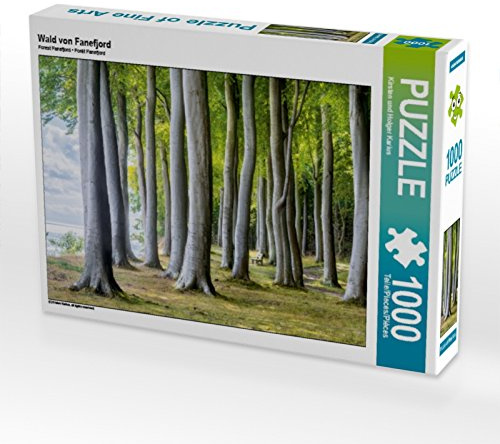 CALVENDO Puzzle Wald von Fanefjord | 1000 Teile Lege-Größe 64 x 48 cm Foto-Puzzle für glückliche Stunden