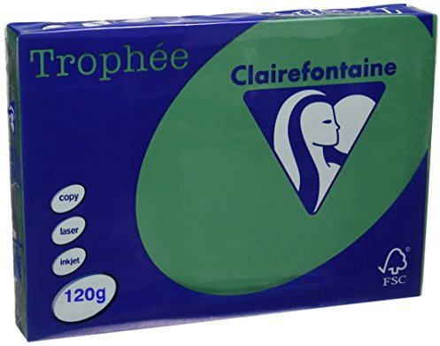 Clairefontaine Trophee Papier Tannengrün 120g/1224C A4 120 g Inh.250