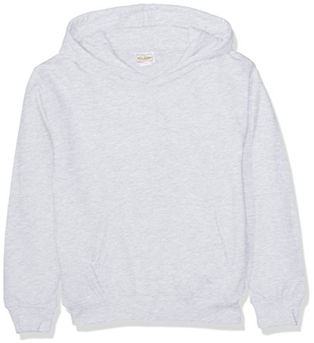 AWDis Boy's Kids Hoodie, Grey (Ash), X-Large