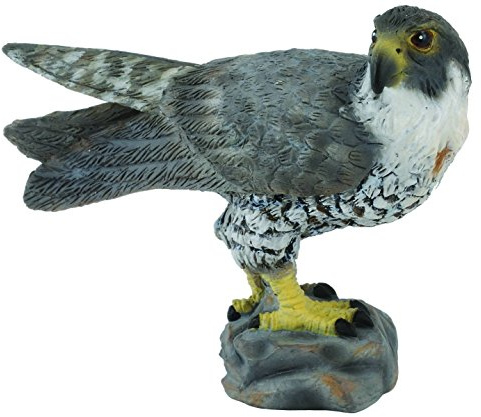 Collecta - Col88399 - Pilgerfalke - Größe S