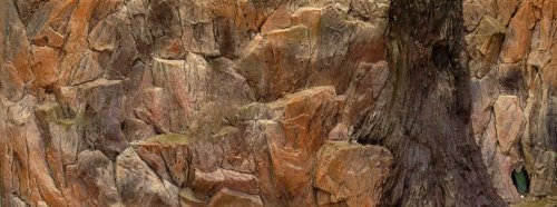 3D Aquarien Rückwand 100x40 Fels mit Wurzel