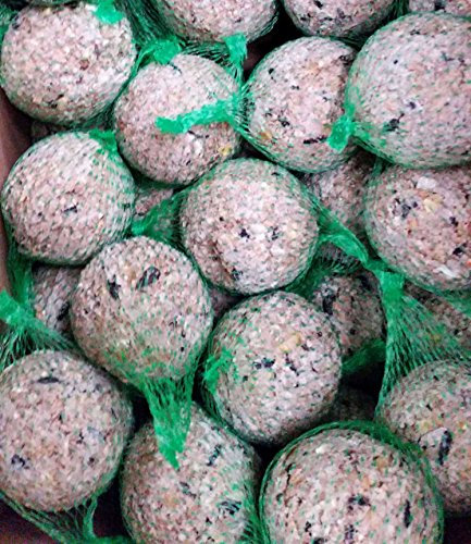 Meisenknödel 100 St. 90g / St. im Netz