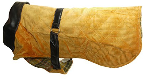 Dog Coat Corduroy & Leather Orange 14