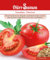 Tomaten Samen Tamina Rote Tomate Tomatensamen ca 80 Korn Saatgut Robust Ertragreich Garten Hochbeet Kübel Dürr Samen
