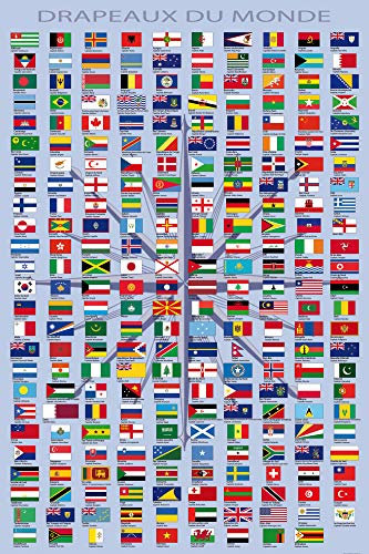 1art1 Flaggen Der Welt Poster Ländernamen Und Hauptstädte, In Französisch Kunstdruck Bild 180x120 cm