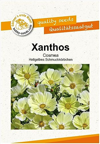Blumensamen Xanthos Cosmee Portion
