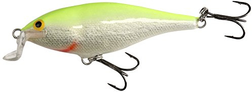 Rapala Shallow Shad Rap 07 Angelköder, 7,9 cm, silberfarben, fluoreszierend Chartreuse