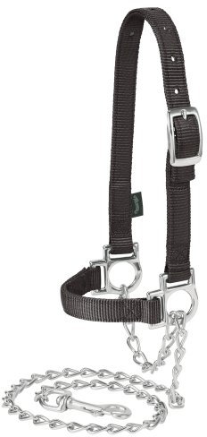 Weaver Schafhalfter aus Leder, Nylon, verstellbar, mit Kette, 35-8110-BK, Schwarz