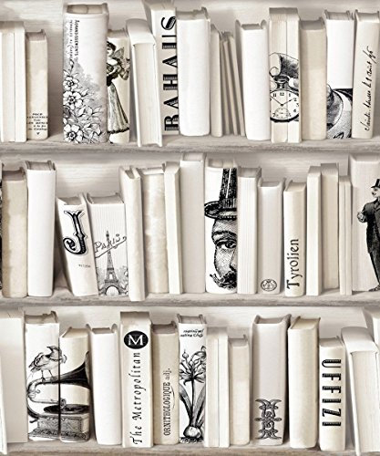 DICTONARY X 10 ROULEAUX DE PaPIER PEINT BIBLIOTHÈQUE