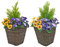 2 x Artificial Rattan Patio Planters with Purple and Yellow Faux Silk Pansies and Conifer/Cedar Topiary ideal for Home, Patio, Garden Outdoor Living 60cm/23.5in