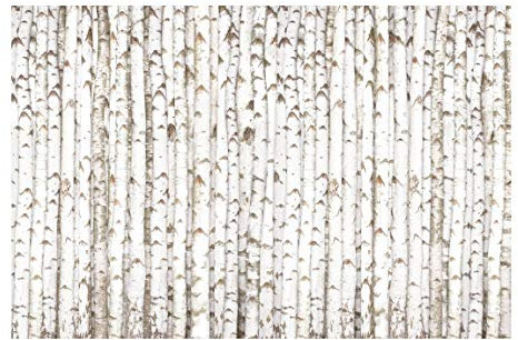 Bilderwelten Wald Fototapete 3D inkl. Kleister 288x190cm - Vliestapete Made in Germany - Tapete Wald Schlafzimmer - Birken Waldtapete Natur - XXL Wandtapete Wald Wohnzimmer Flur T_1160