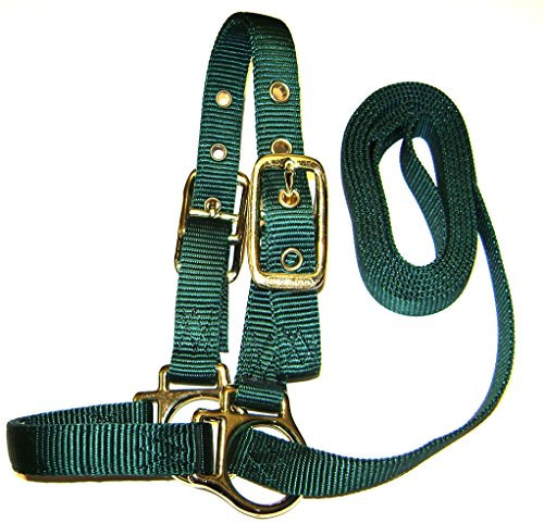 Hamilton Halfter mit Leine, 1,9 cm x 1,5 m, Dunkelgrün
