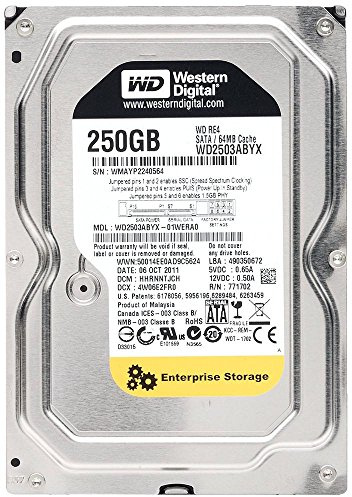 WD RE4 250GB SATA 3GB/S 64MB