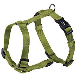 Nobby Geschirr Classic, Lindgrün Brust: 20/35 cm, B: 10 Mm, 1 Stück