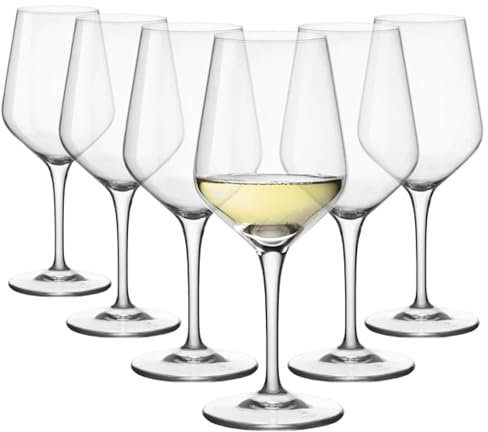 Bormioli Rocco - Electra Glasses Transparent Wine Goblet for Every Occasion, Set of 6 Tasting Goblets
