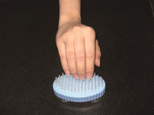Atlantis Nail Brush with Suction Cup