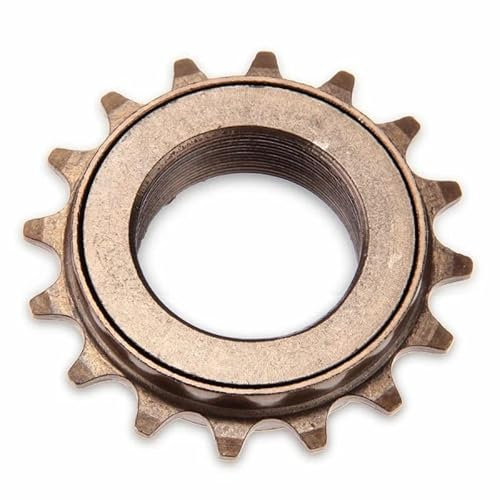 Ecovelo Roue libre de vélo 1 vitesse avec 16 dents