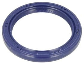 Reinz 81-53699-00 Wellendichtring, Kurbelwelle