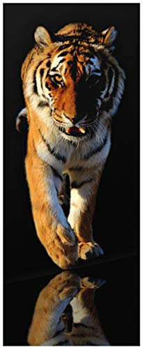Wallario Glasbild Laufender Tiger - 32 x 80 cm Wandbilder Glas in Premium-Qualität: Brillante Farben, freischwebende Optik