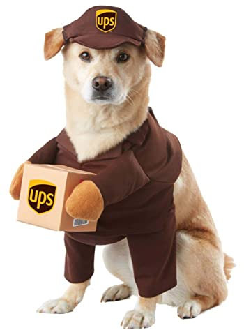 UPS Hundekostüm, Größe XS
