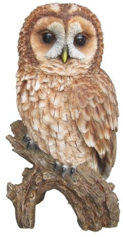 Vivid Arts Plastic Real Life Tawny Owl (Size B)